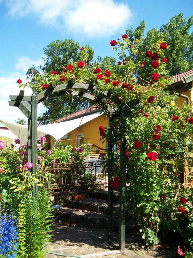 Barrel -Schlafen Im Fass Hotel Gorleben Kültér fotó