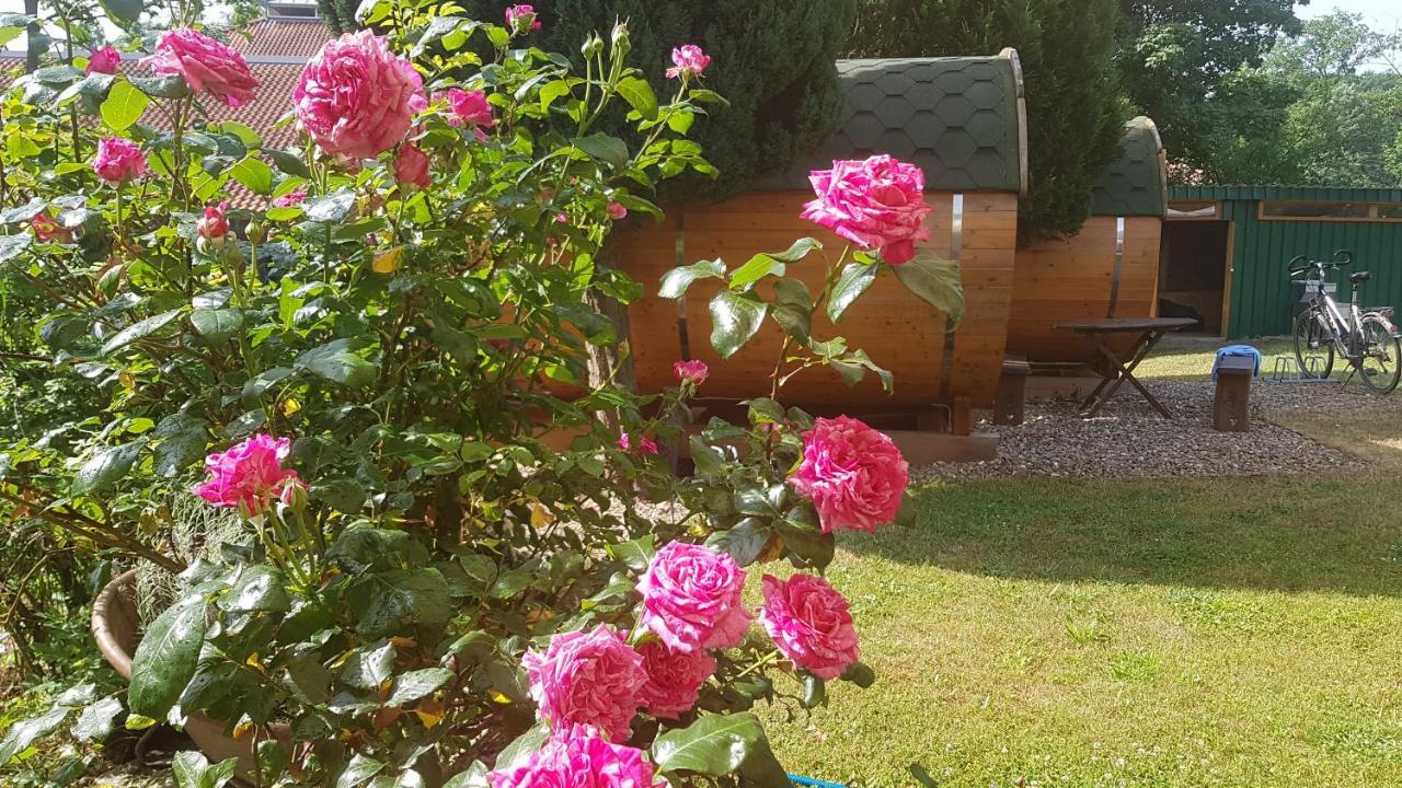 Barrel -Schlafen Im Fass Hotel Gorleben Kültér fotó